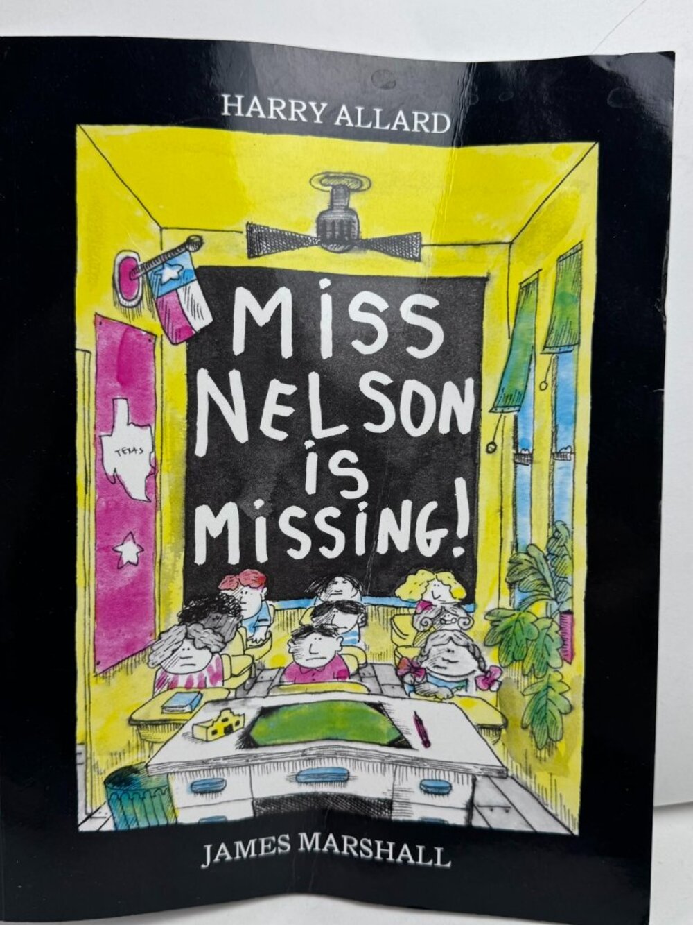 Miss Nelson Is Missing! Harry Allard James Marshall PB ISBN 978-0-395-40146-0